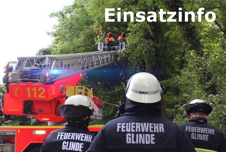 Einsatzfoto Ast lose in ca. 10 m Höhe ...